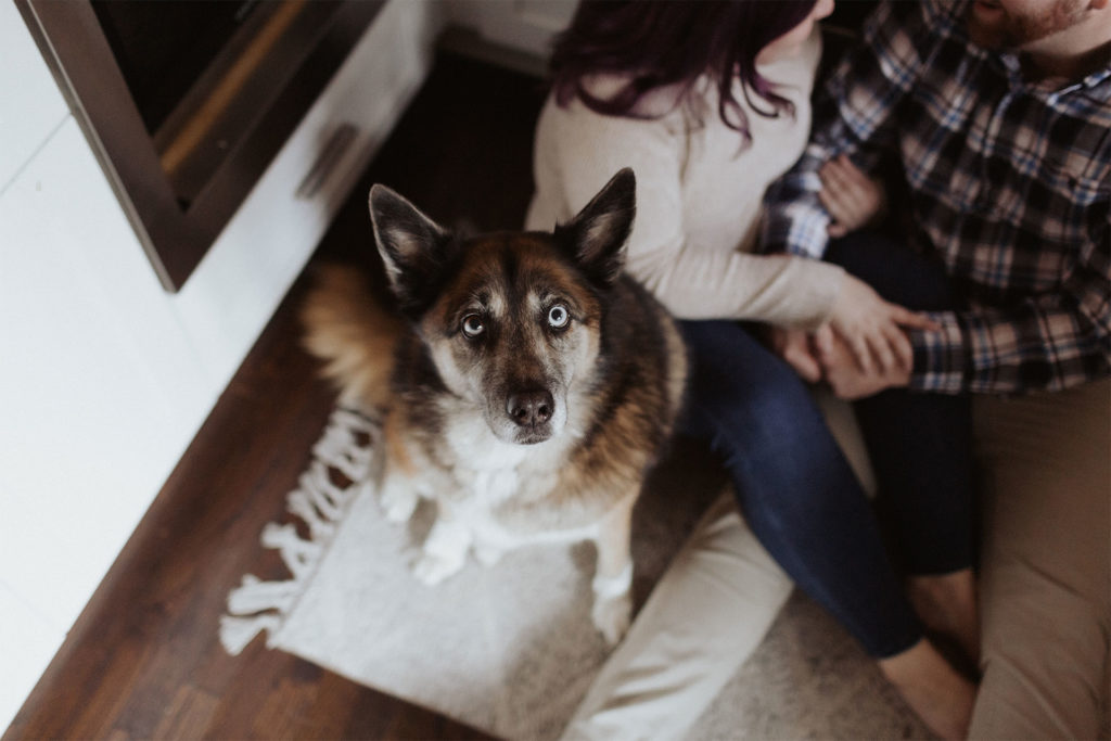 Engagement Photography Gallery - 27